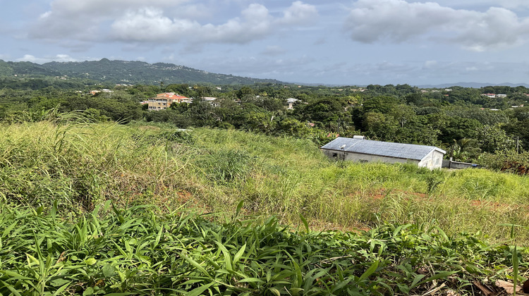 Ma-Cabane - Vente Terrain Le Robert, 477 m²