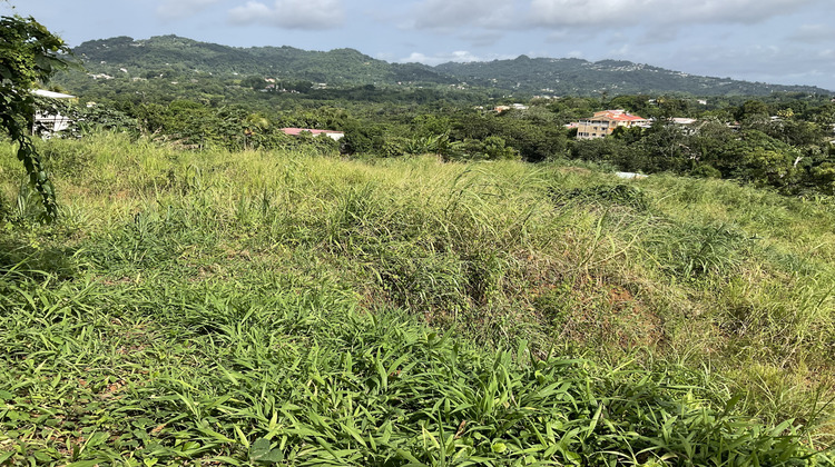 Ma-Cabane - Vente Terrain Le Robert, 477 m²