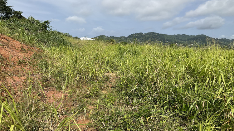 Ma-Cabane - Vente Terrain Le Robert, 500 m²