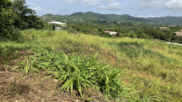 Ma-Cabane - Vente Terrain Le Robert, 500 m²