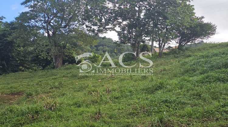 Ma-Cabane - Vente Terrain Le Robert, 1373 m²