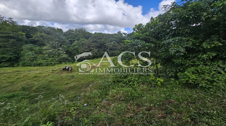 Ma-Cabane - Vente Terrain Le Robert, 2209 m²