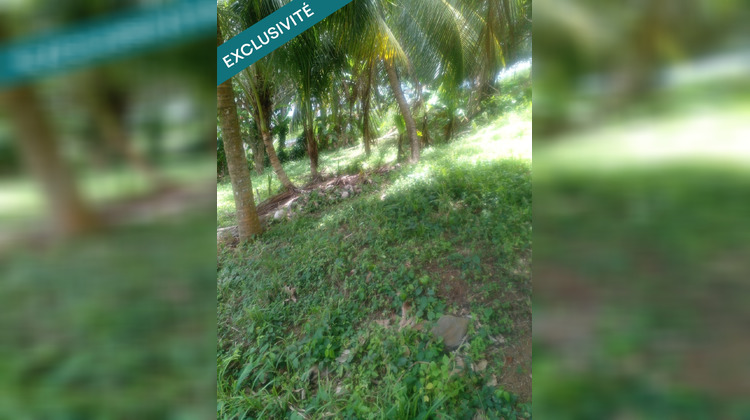 Ma-Cabane - Vente Terrain Le Robert, 689 m²