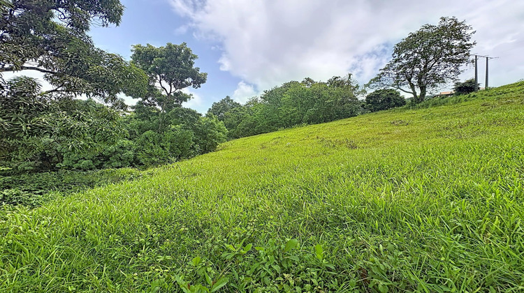 Ma-Cabane - Vente Terrain Le Robert, 2209 m²