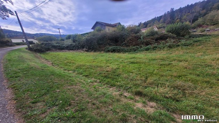 Ma-Cabane - Vente Terrain LE SYNDICAT, 1295 m²