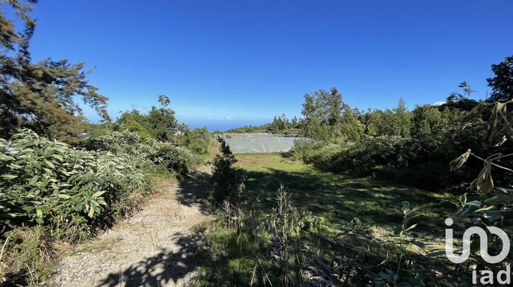 Ma-Cabane - Vente Terrain Le Tampon, 1170 m²