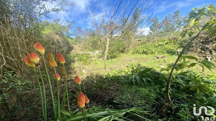 Ma-Cabane - Vente Terrain Le Tampon, 736 m²