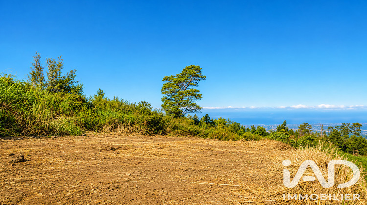 Ma-Cabane - Vente Terrain Le Tampon, 546 m²