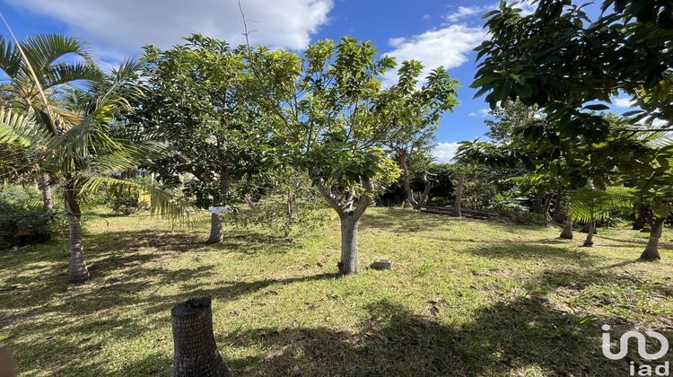 Ma-Cabane - Vente Terrain Le Tampon, 630 m²