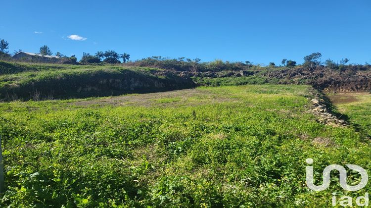 Ma-Cabane - Vente Terrain Le Tampon, 2200 m²