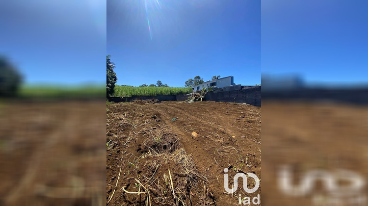 Ma-Cabane - Vente Terrain Le Tampon, 614 m²