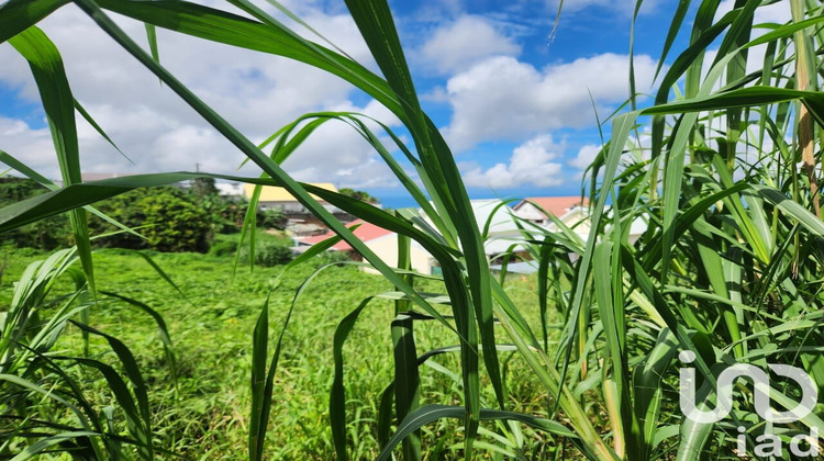Ma-Cabane - Vente Terrain Le Tampon, 1200 m²