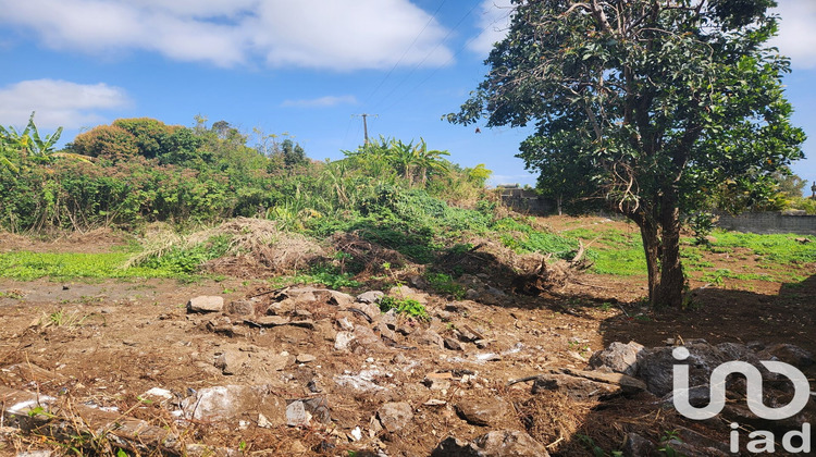Ma-Cabane - Vente Terrain Le Tampon, 435 m²