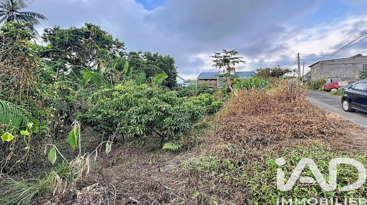 Ma-Cabane - Vente Terrain Le Tampon, 1230 m²