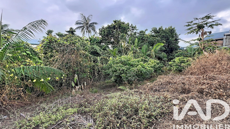 Ma-Cabane - Vente Terrain Le Tampon, 1230 m²