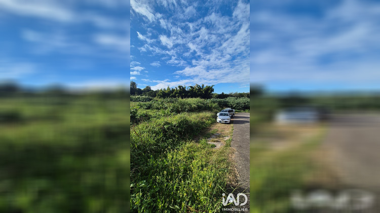 Ma-Cabane - Vente Terrain Le Tampon, 550 m²