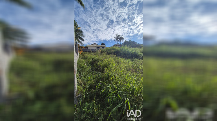 Ma-Cabane - Vente Terrain Le Tampon, 550 m²