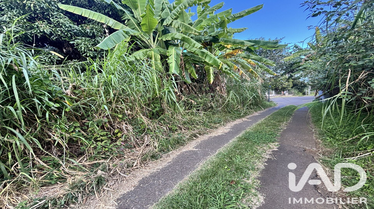 Ma-Cabane - Vente Terrain Le Tampon, 450 m²