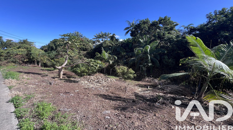 Ma-Cabane - Vente Terrain Le Tampon, 1230 m²