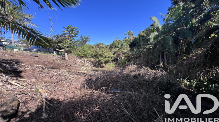 Ma-Cabane - Vente Terrain Le Tampon, 1230 m²