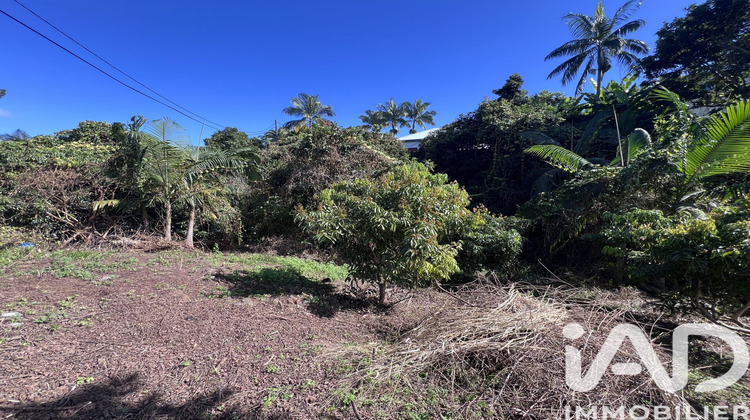 Ma-Cabane - Vente Terrain Le Tampon, 1230 m²