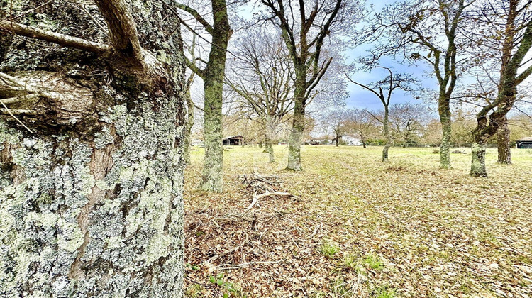 Ma-Cabane - Vente Terrain LE TEICH, 600 m²