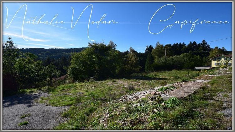 Ma-Cabane - Vente Terrain LE THOLY, 2126 m²