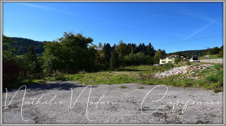 Ma-Cabane - Vente Terrain LE THOLY, 2126 m²