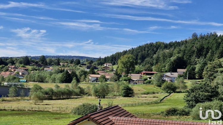 Ma-Cabane - Vente Terrain Le Tholy, 1995 m²