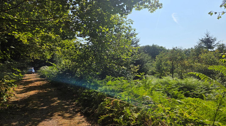 Ma-Cabane - Vente Terrain LE THOLY, 16790 m²