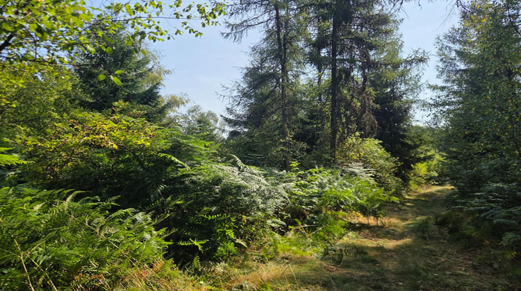 Ma-Cabane - Vente Terrain LE THOLY, 16790 m²