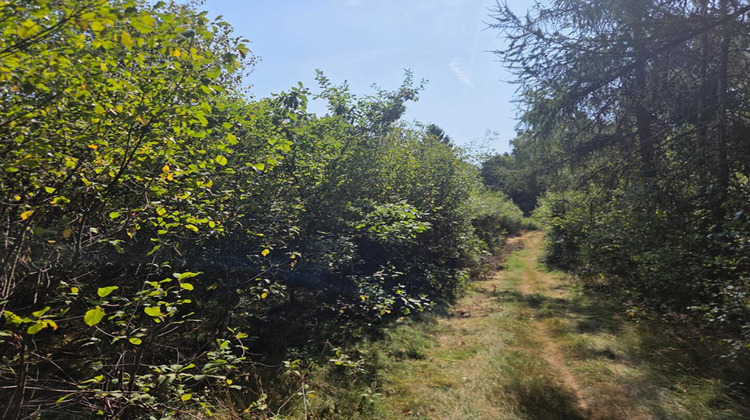 Ma-Cabane - Vente Terrain LE THOLY, 16790 m²