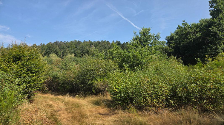 Ma-Cabane - Vente Terrain LE THOLY, 16790 m²