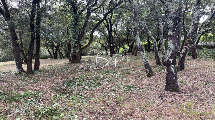 Ma-Cabane - Vente Terrain LE THORONET, 1200 m²