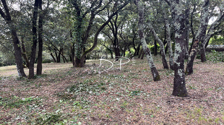 Ma-Cabane - Vente Terrain LE THORONET, 1200 m²