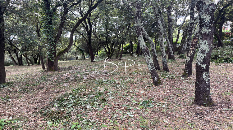 Ma-Cabane - Vente Terrain LE THORONET, 1200 m²