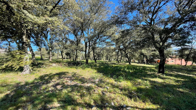 Ma-Cabane - Vente Terrain LE THORONET, 2214 m²