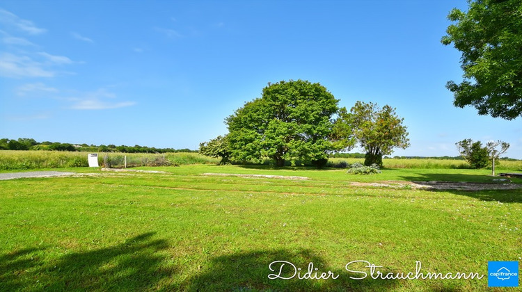 Ma-Cabane - Vente Terrain LE THOU, 462 m²
