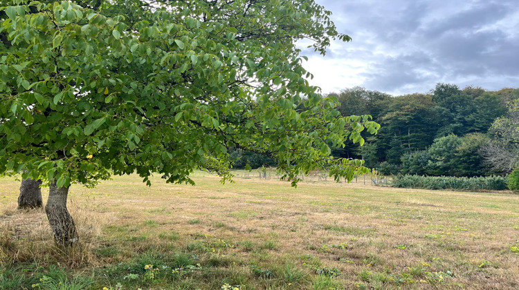 Ma-Cabane - Vente Terrain Le Val-d'Ajol, 3130 m²