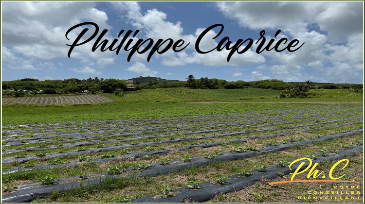 Ma-Cabane - Vente Terrain LE VAUCLIN, 2000 m²