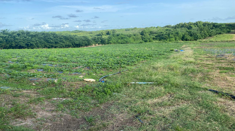 Ma-Cabane - Vente Terrain Le Vauclin, 2000 m²
