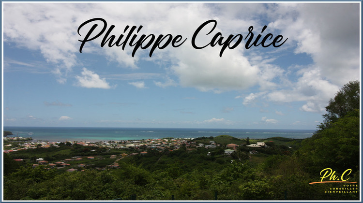 Ma-Cabane - Vente Terrain LE VAUCLIN, 43000 m²