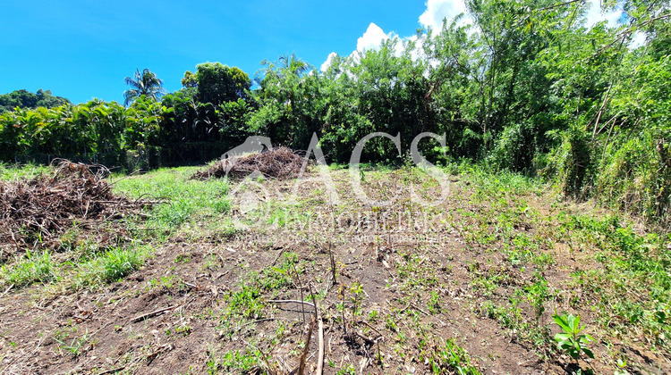 Ma-Cabane - Vente Terrain Le Vauclin, 1100 m²