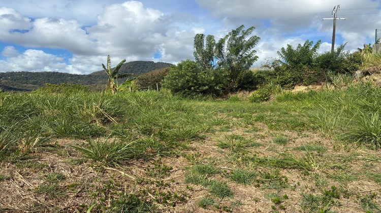 Ma-Cabane - Vente Terrain LE VAUCLIN, 485 m²