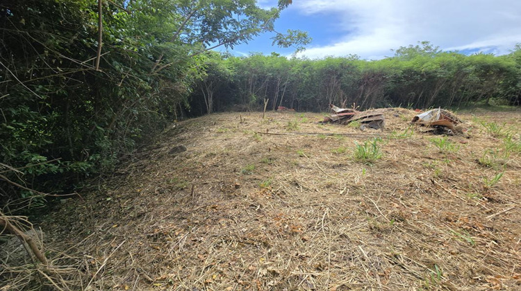 Ma-Cabane - Vente Terrain LE VAUCLIN, 1299 m²