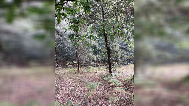 Ma-Cabane - Vente Terrain Le Verdon-sur-Mer, 2048 m²