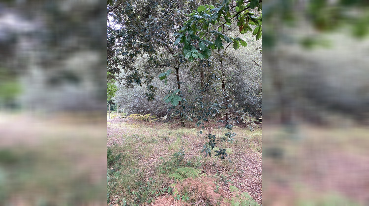 Ma-Cabane - Vente Terrain Le Verdon-sur-Mer, 2048 m²