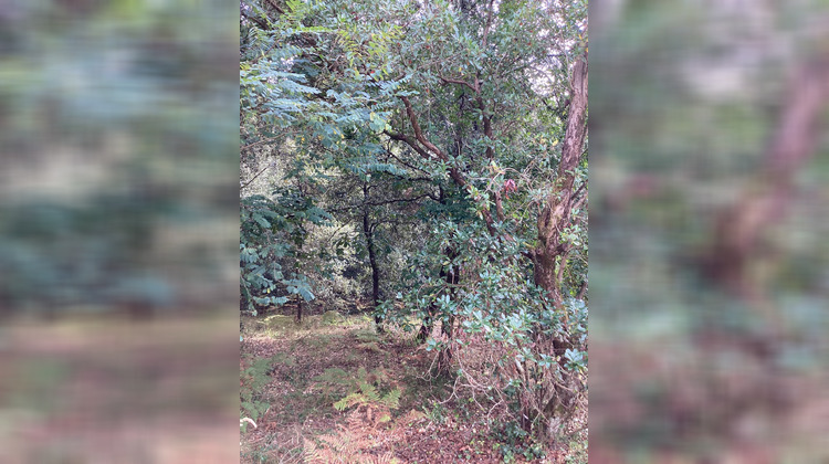 Ma-Cabane - Vente Terrain Le Verdon-sur-Mer, 2048 m²