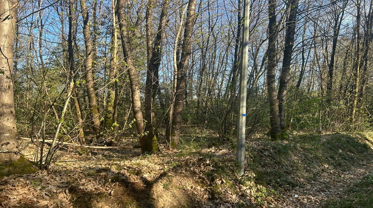 Ma-Cabane - Vente Terrain LE VIEIL BAUGE, 16366 m²