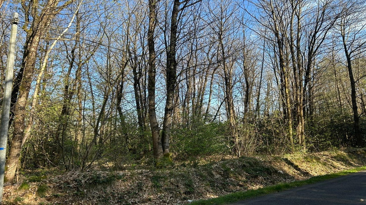 Ma-Cabane - Vente Terrain LE VIEIL BAUGE, 16366 m²